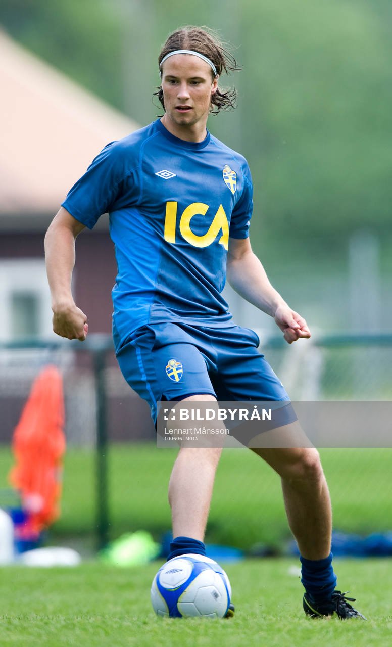 Linus Hallenius, Sverige