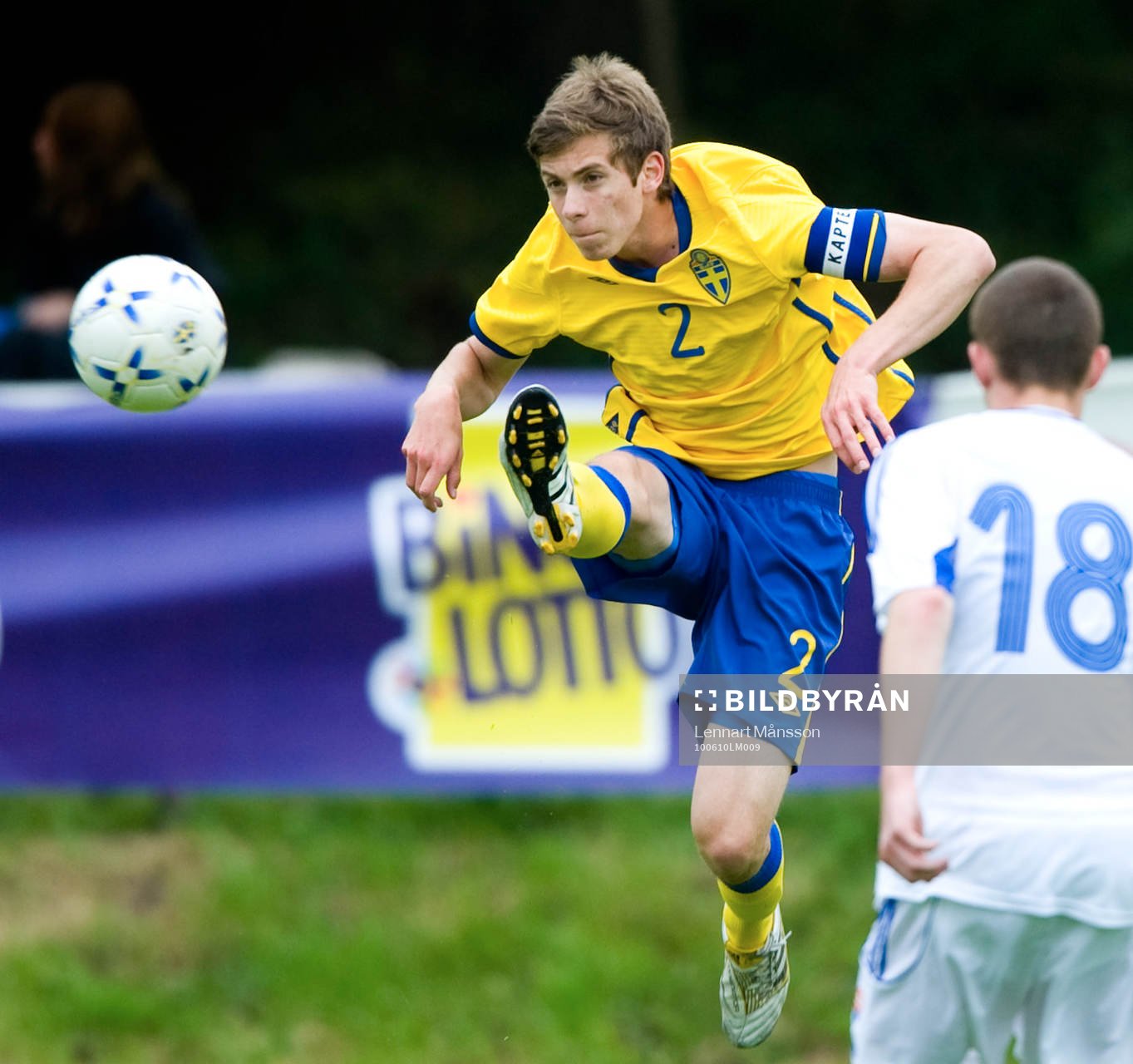 Victor Forssell, Sverige