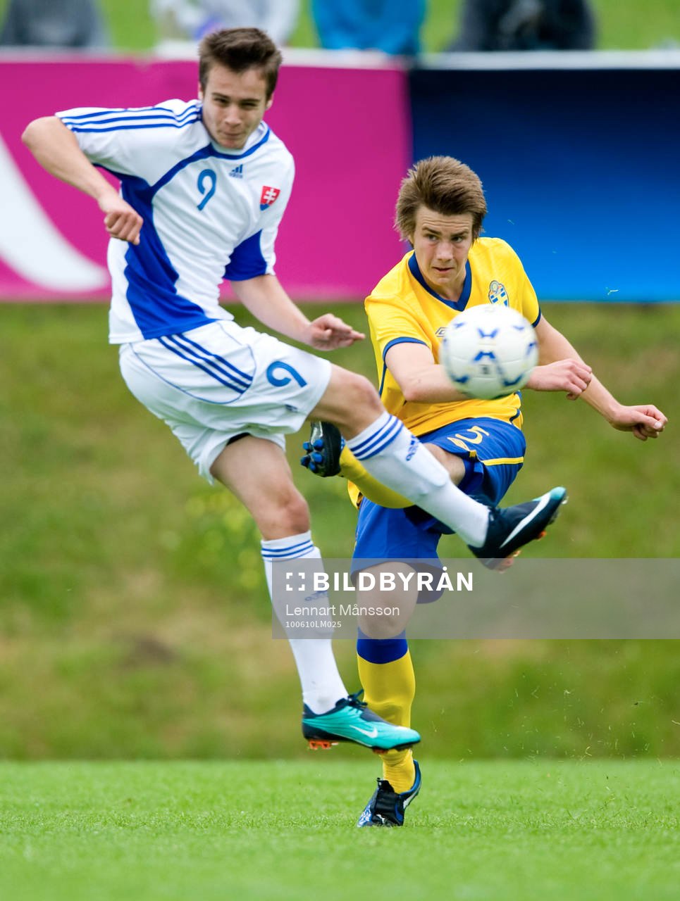David Rohlén, Sverige