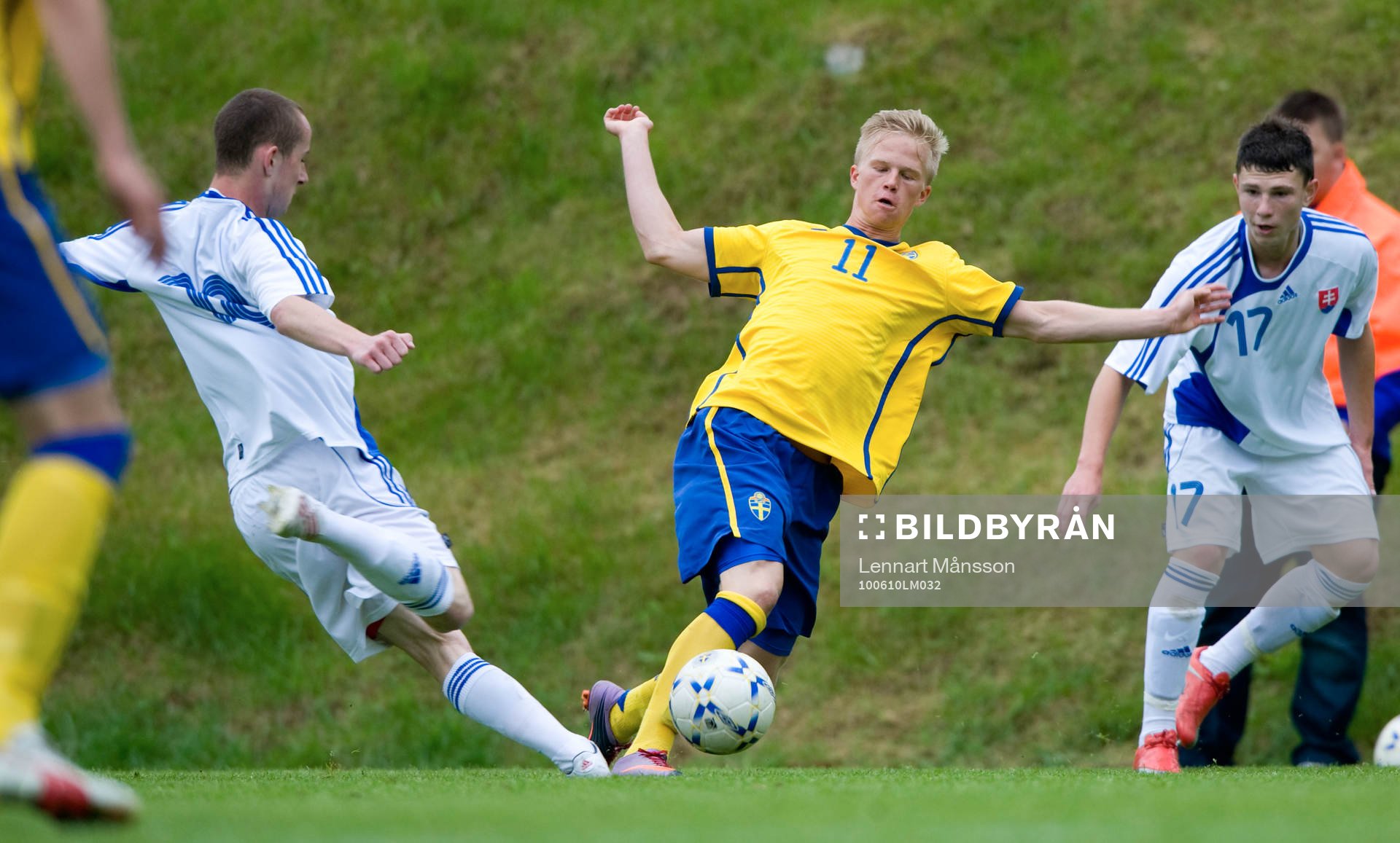 Linus Sjöberg, Sverige