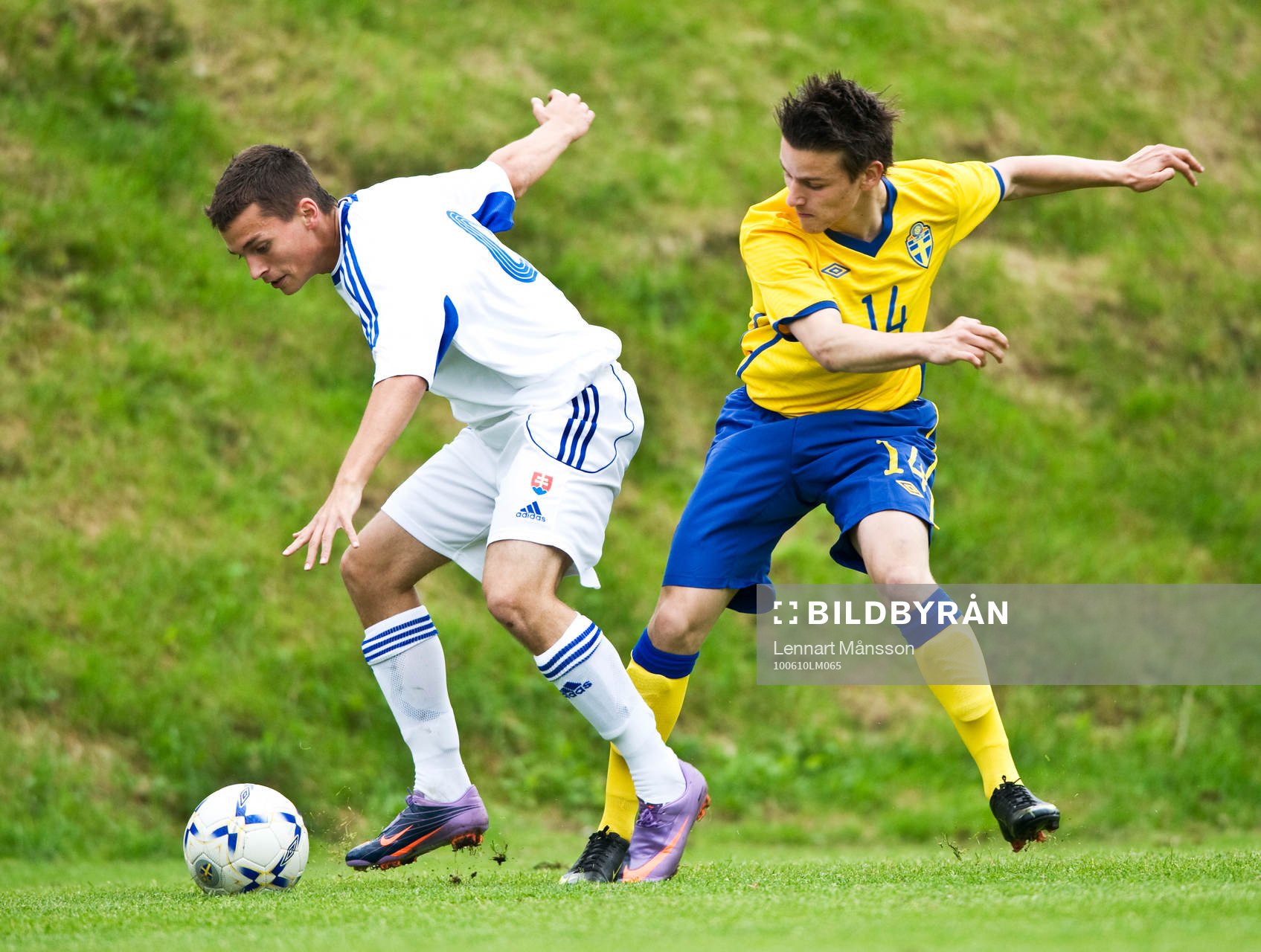 Nikola Zivanovic, Sverige