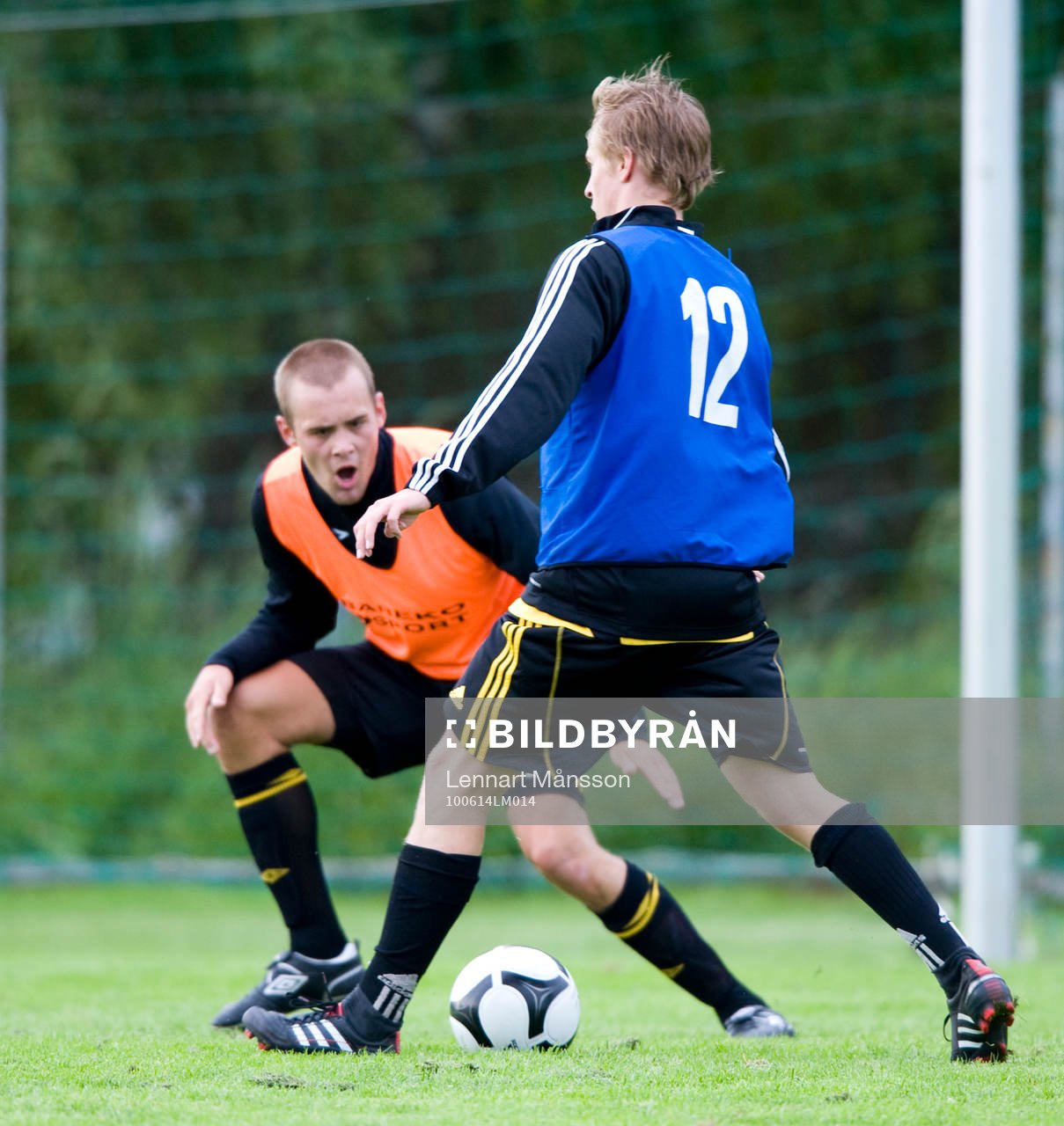 Adam Larsson, försvarare