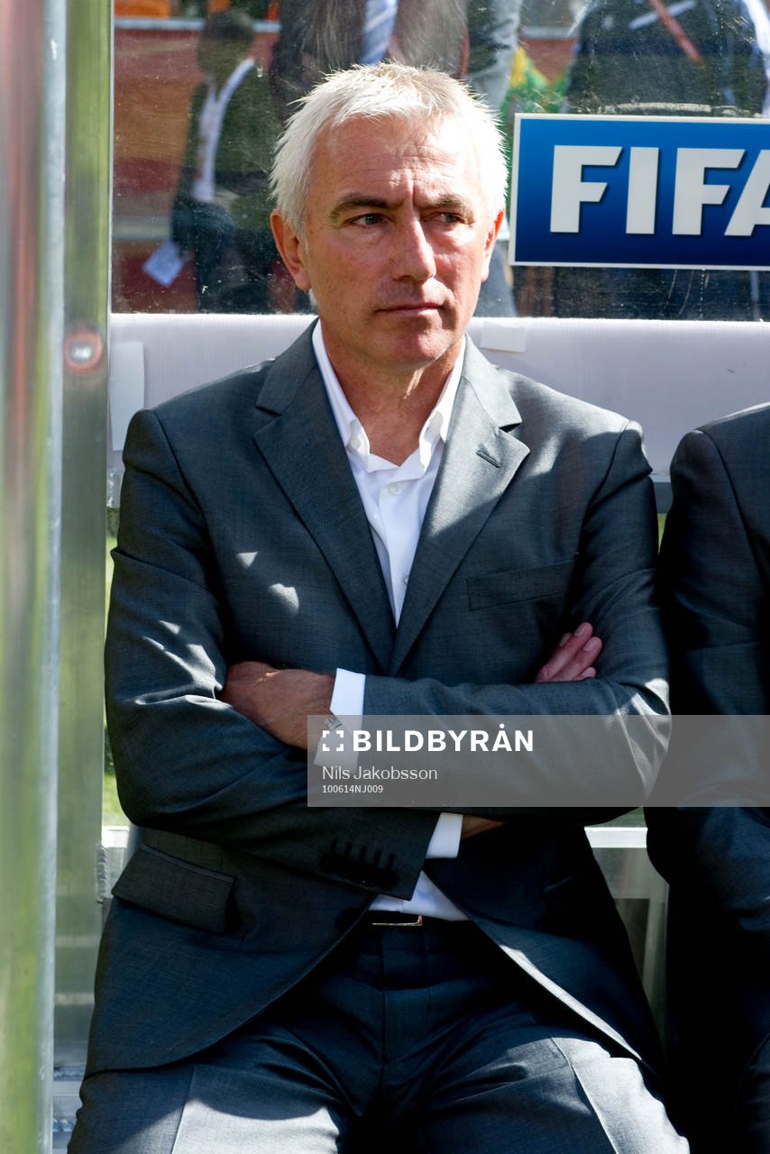 Bert Van Marwijk, Förbundskapten
