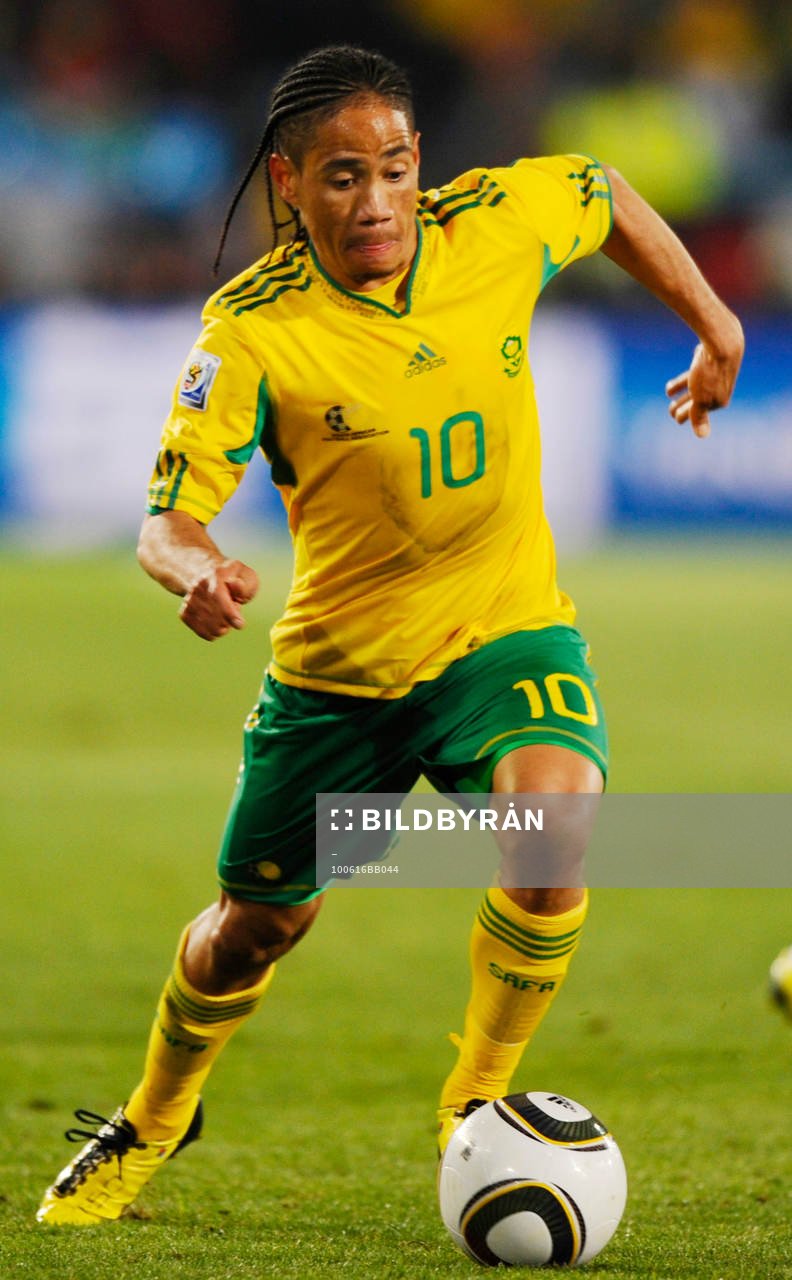 Steven Pienaar, Sydafrika