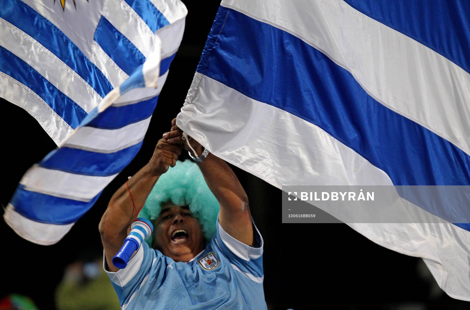 Fan, supporter, flagga