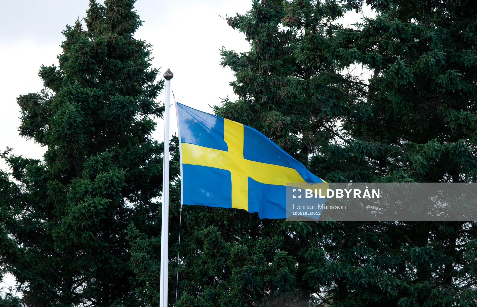 Sverige, Svensk, Svenska flaggan, flagga
