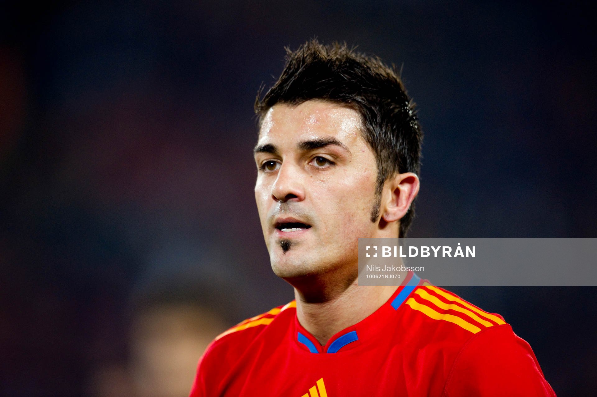 David Villa