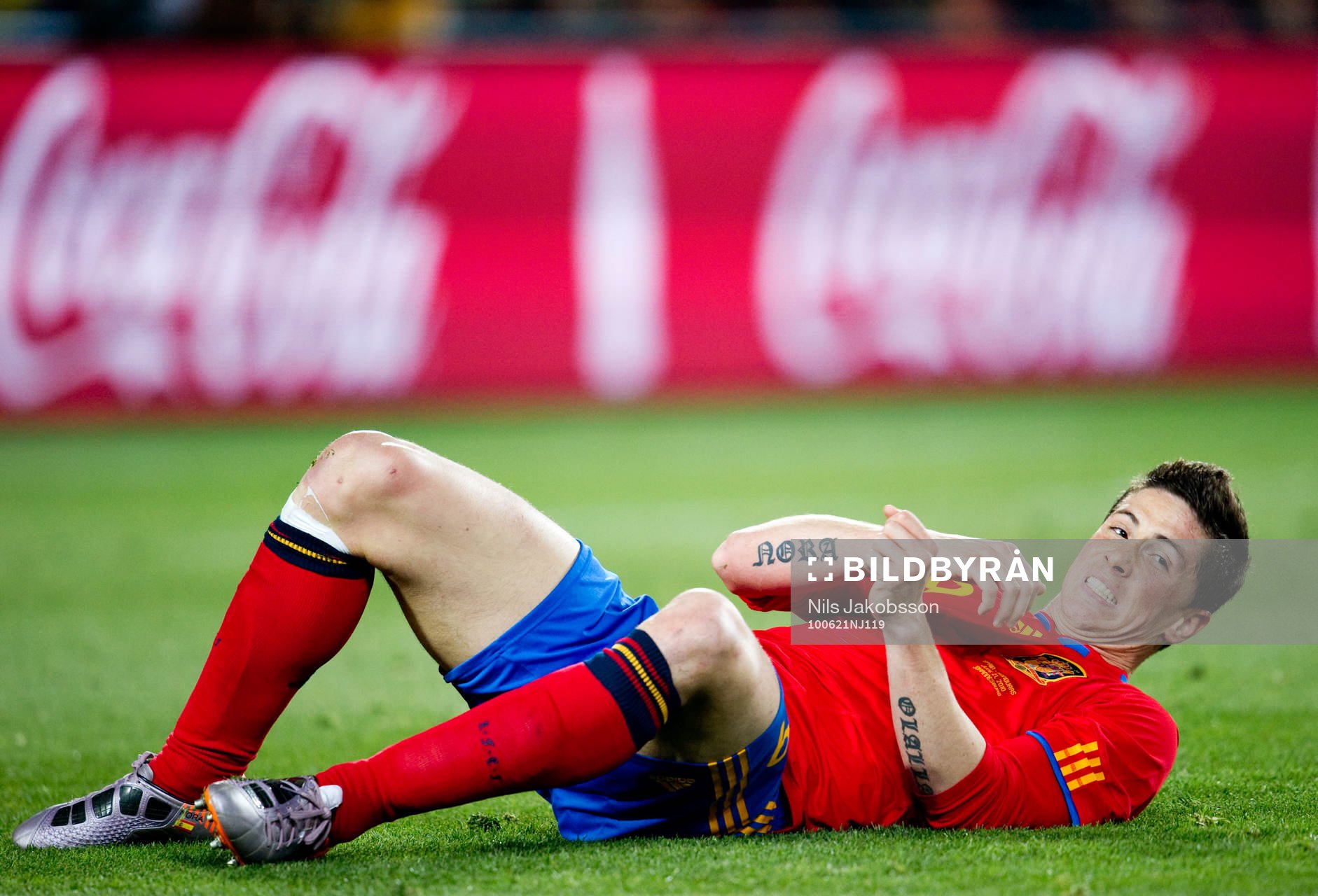 Fernando Torres