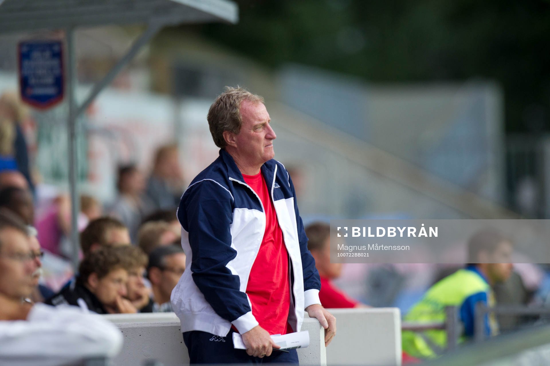 Ray Lewington, Tränare Fulham