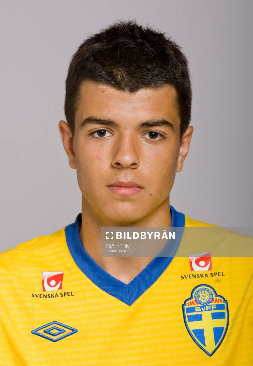 Nikola Zivkovic, Sverige