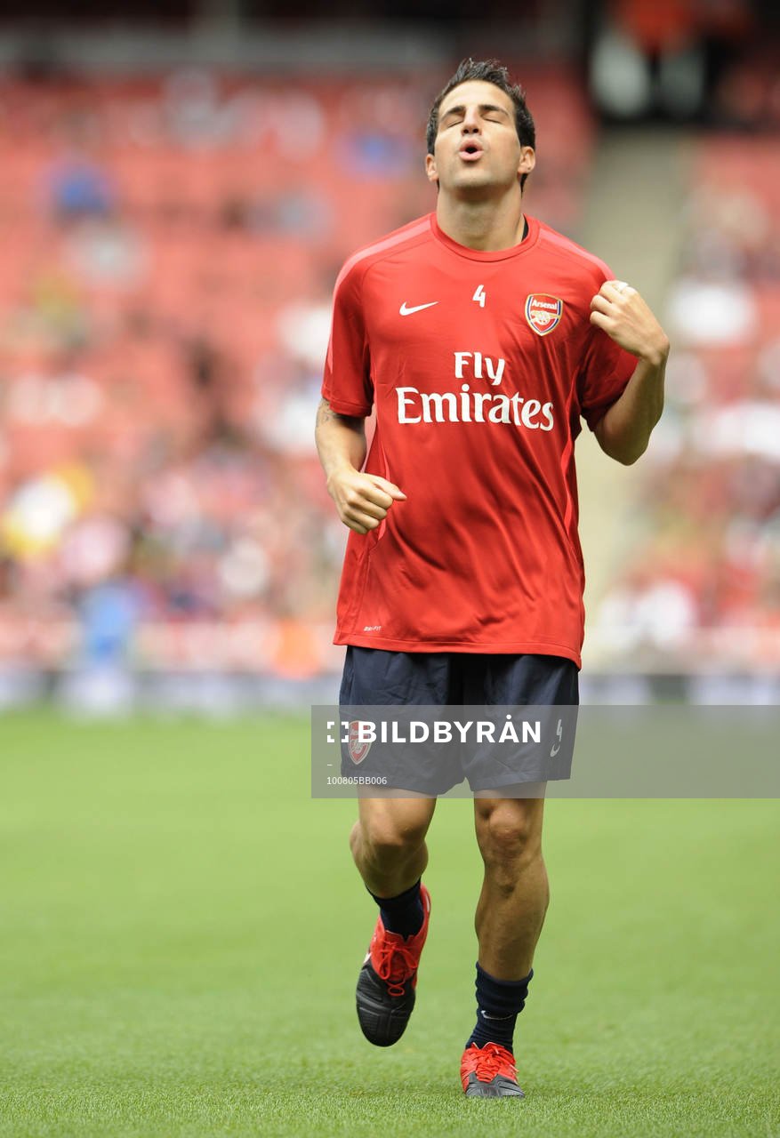 Cesc Fabregas