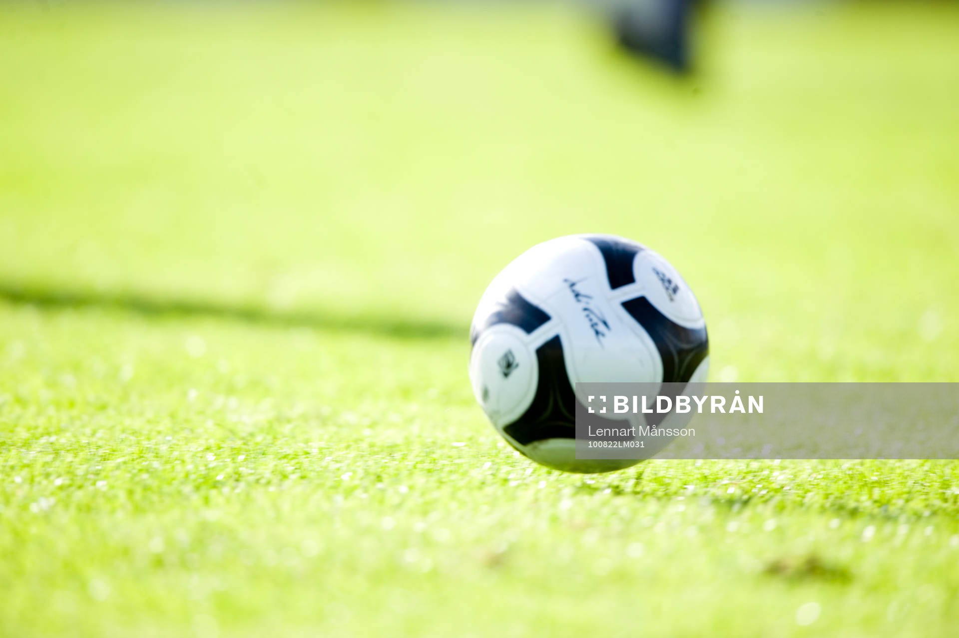 Boll, fotboll, gräs, gräsmatta