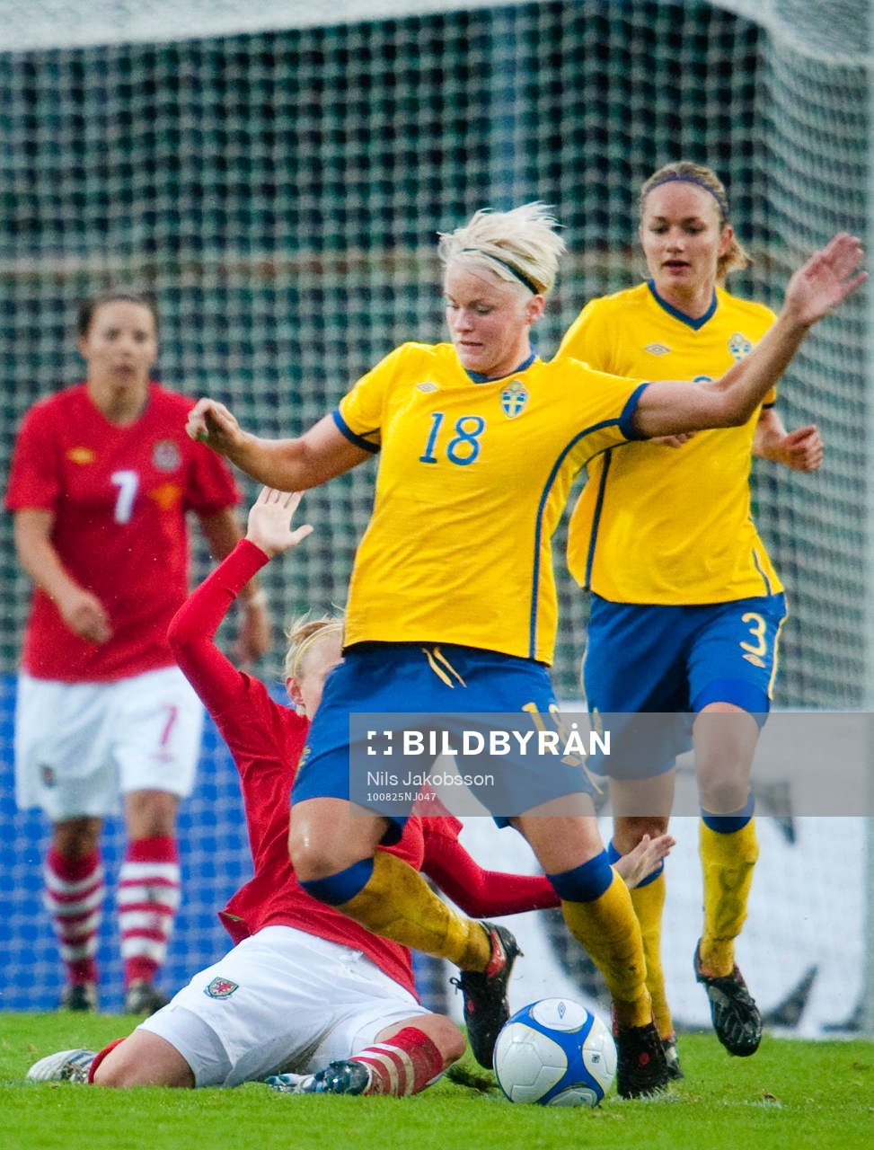 Nilla Fischer, Sverige