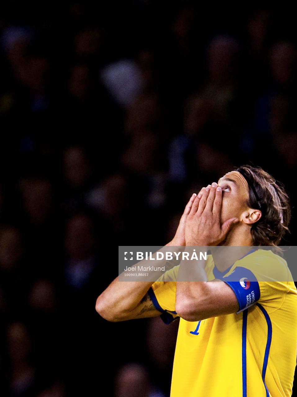Zlatan Ibrahimovic, Sverige