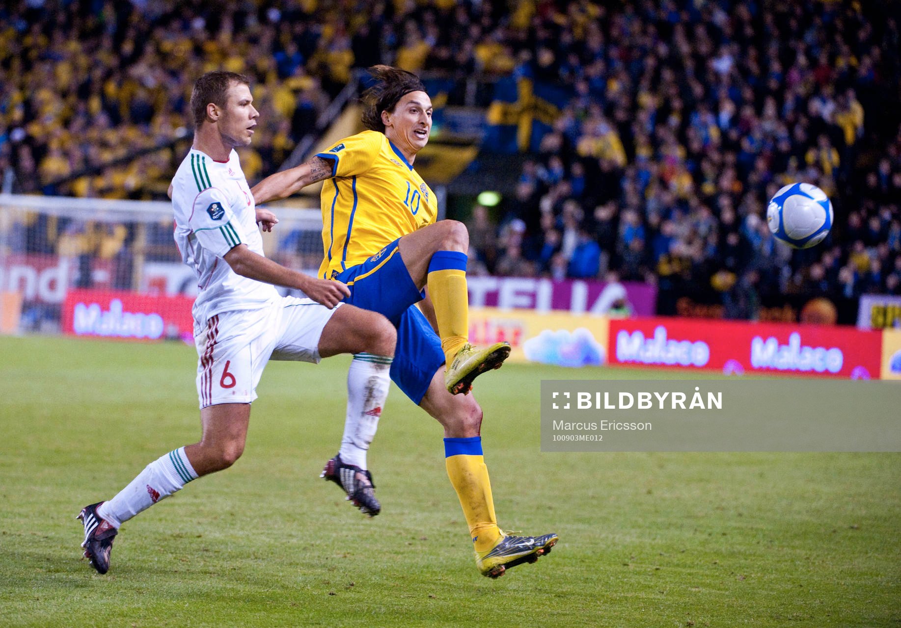 Krisztian Vadocz, Ungern och Zlatan Ibrahimovic, Sverige