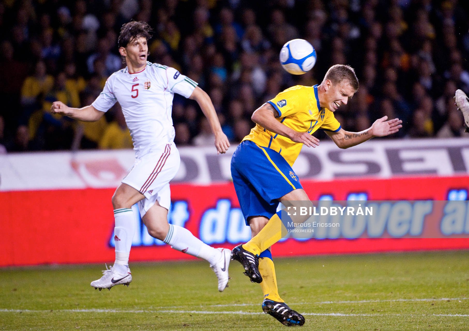 Pontus Wernbloom, Sverige