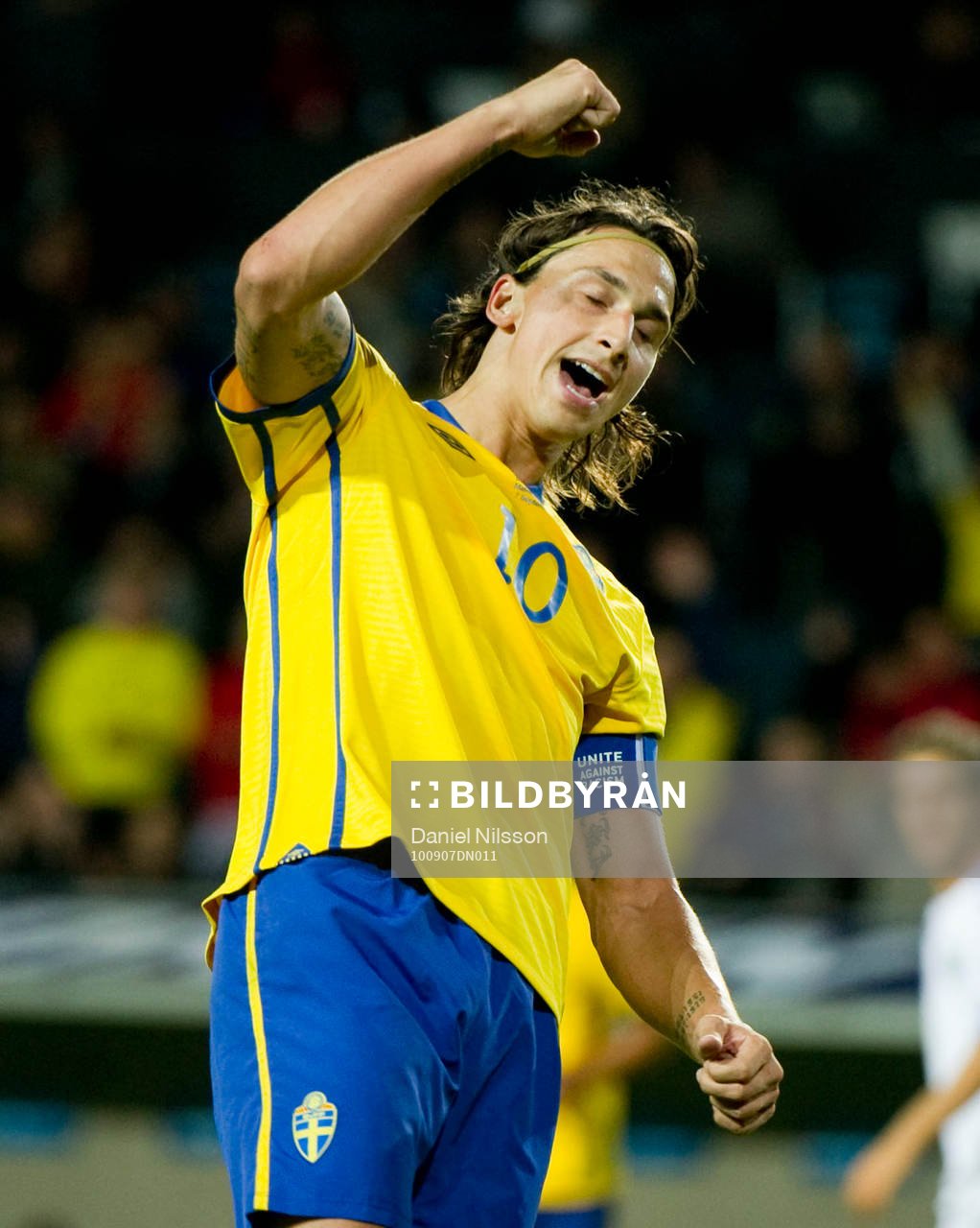 Zlatan Ibrahimovic, Sverige jubel