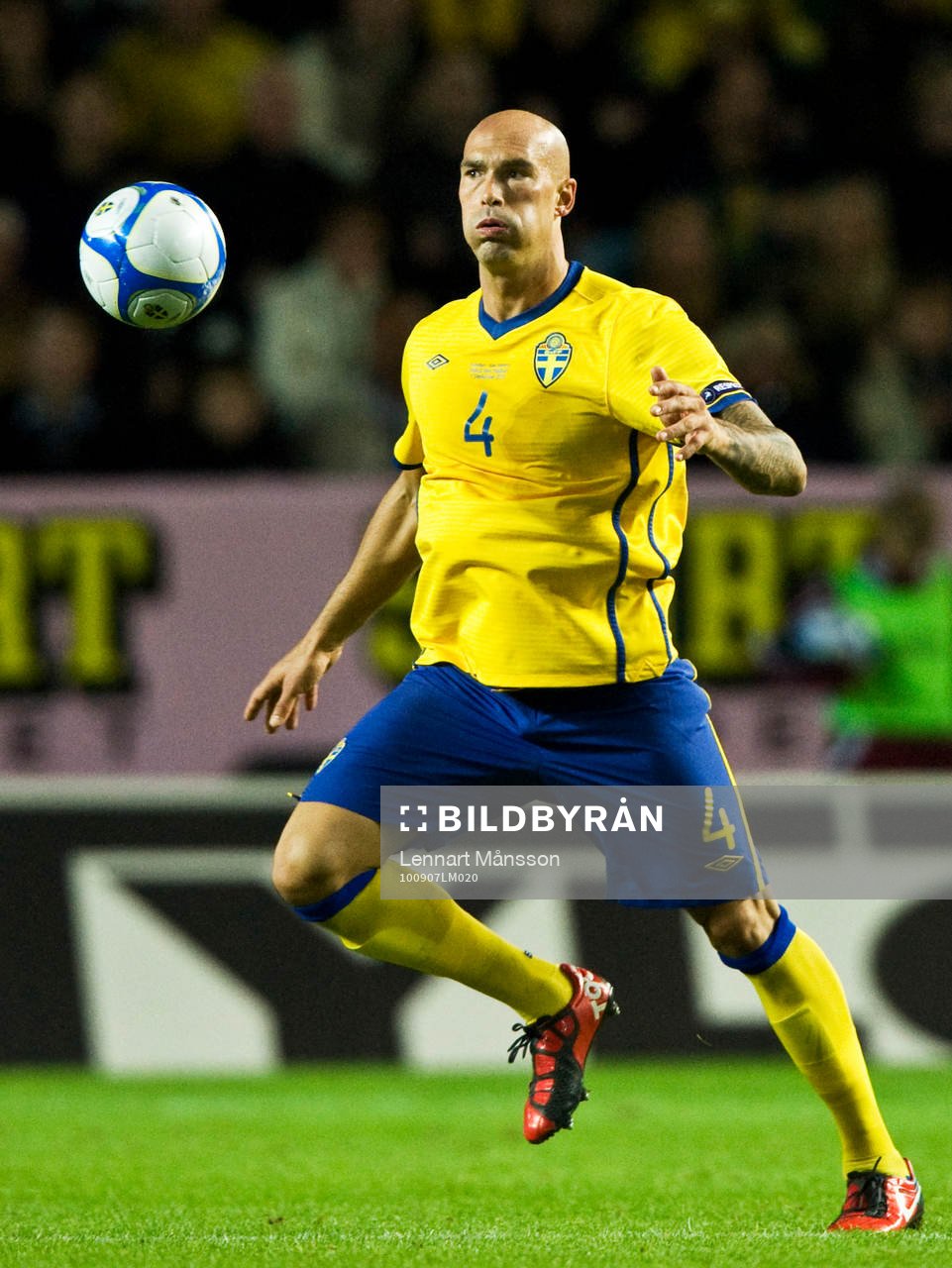 Daniel Majstorovic