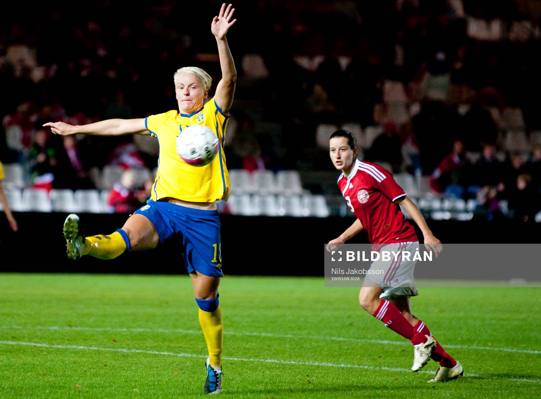 Nilla Fischer, Sverige