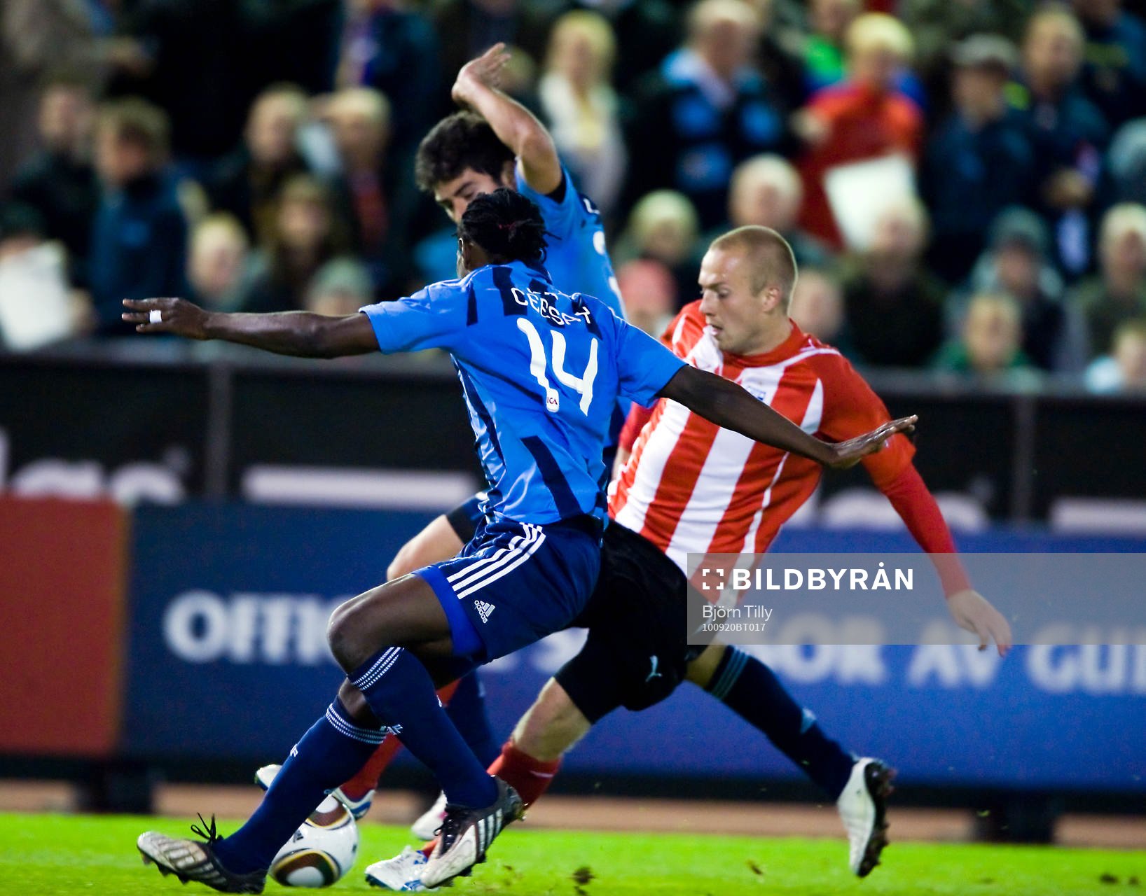 Kebba Ceesay, Luis Antonio Rodriguez, Djurgården och