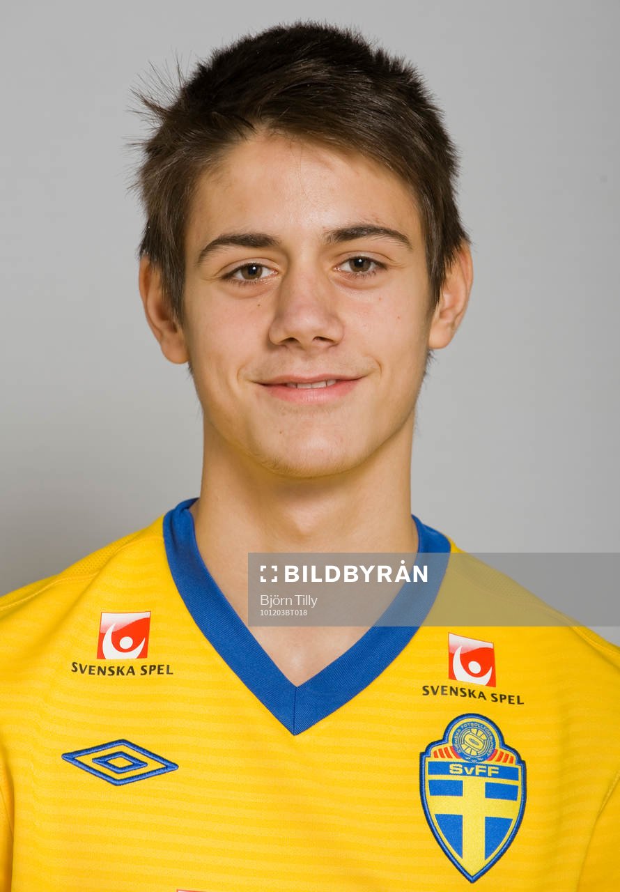 Mirza Mujcic, Sverige
