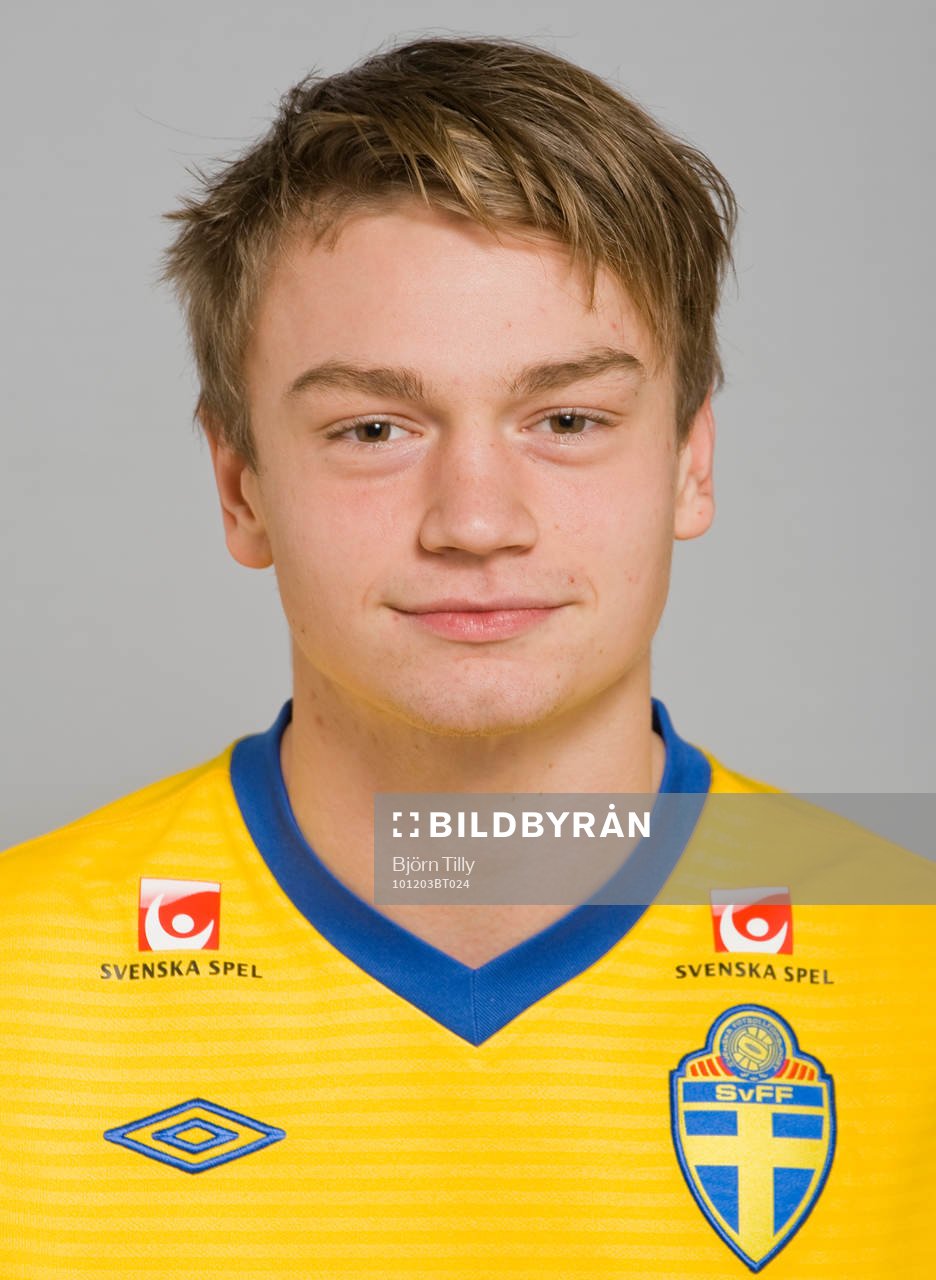 Fredrik Alnäs, Sverige