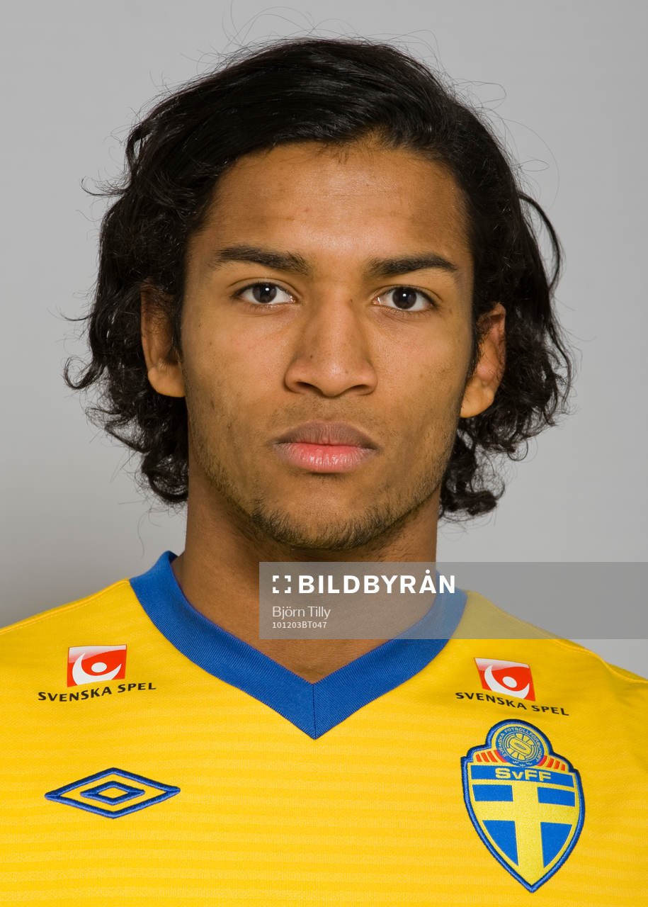 Edvin Ekholm, Sverige