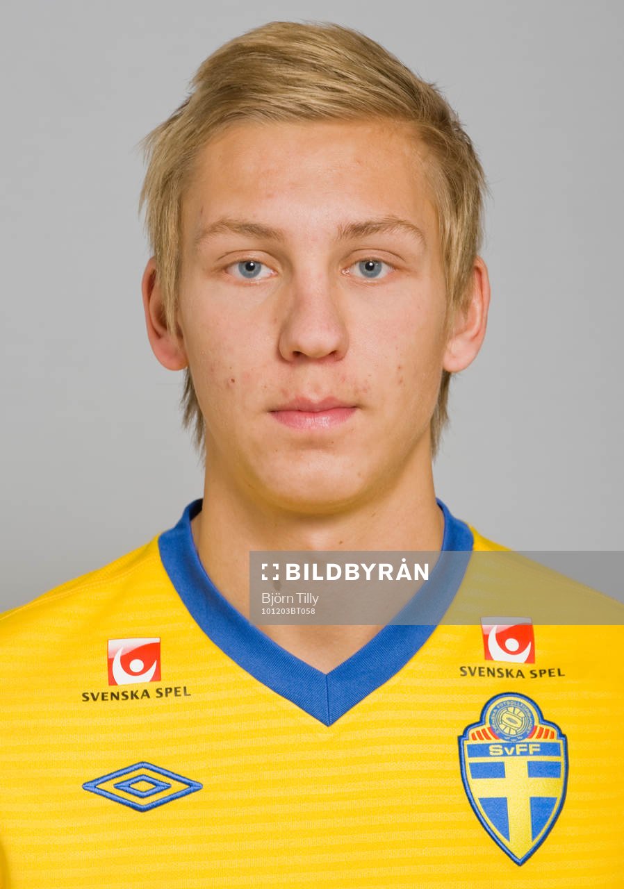 William Ankarhake, Sverige