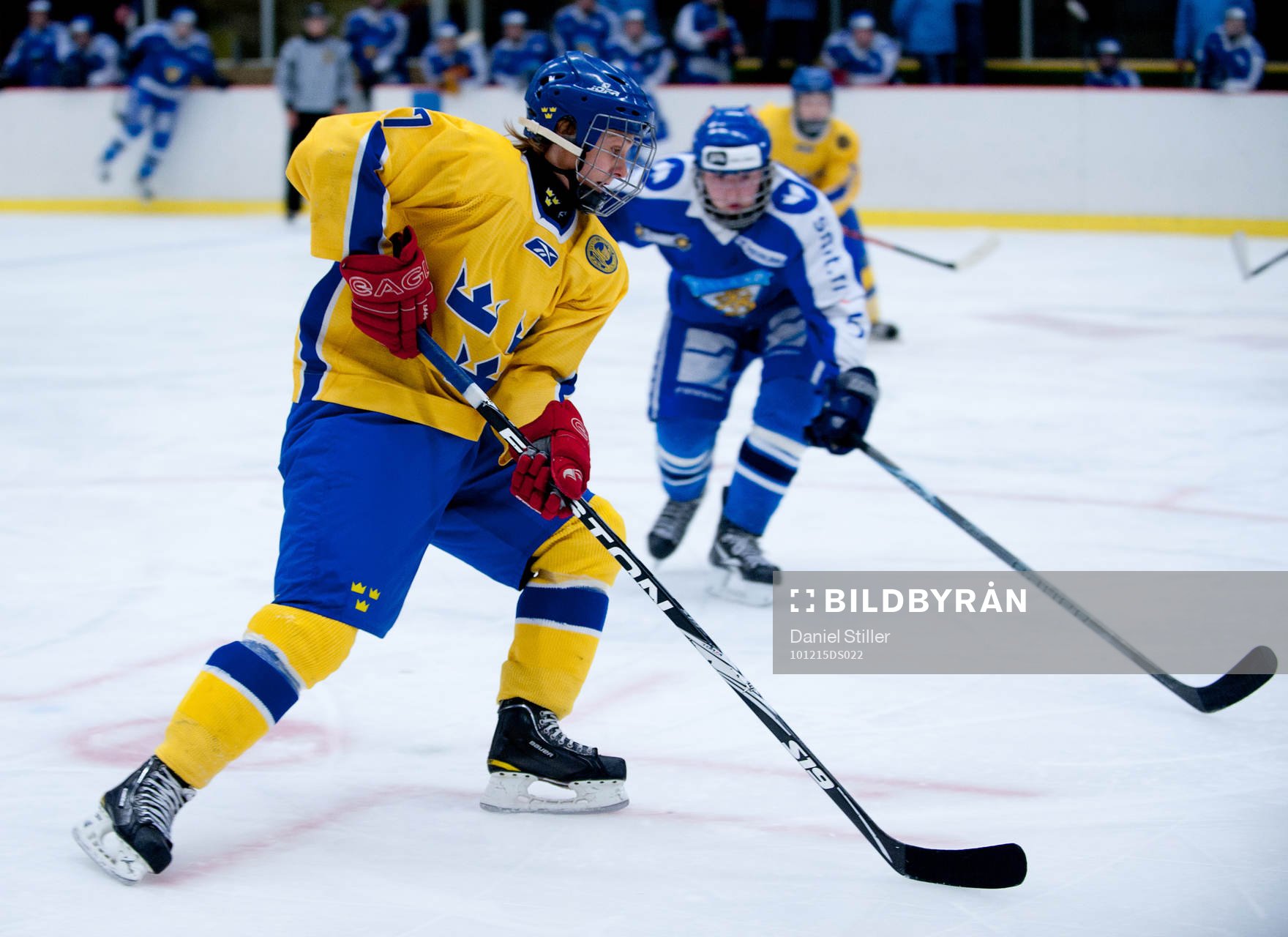 Viktor Lindell, Sverige