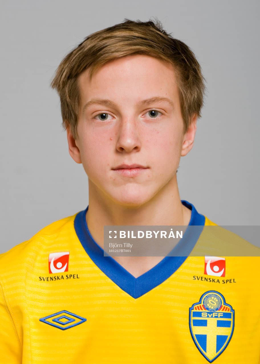 Carl Johan Ågren, Sverige