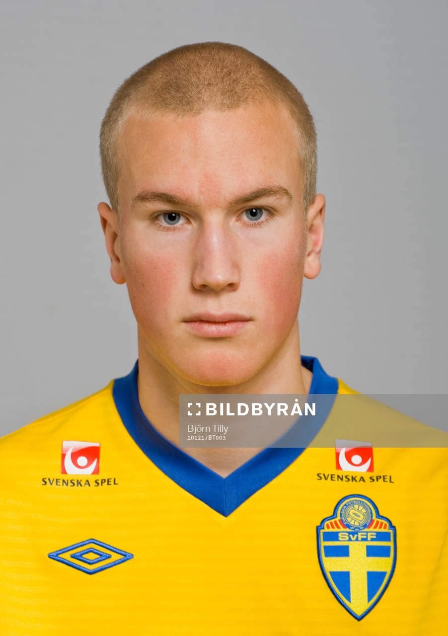 Gustav Brandt, Sverige