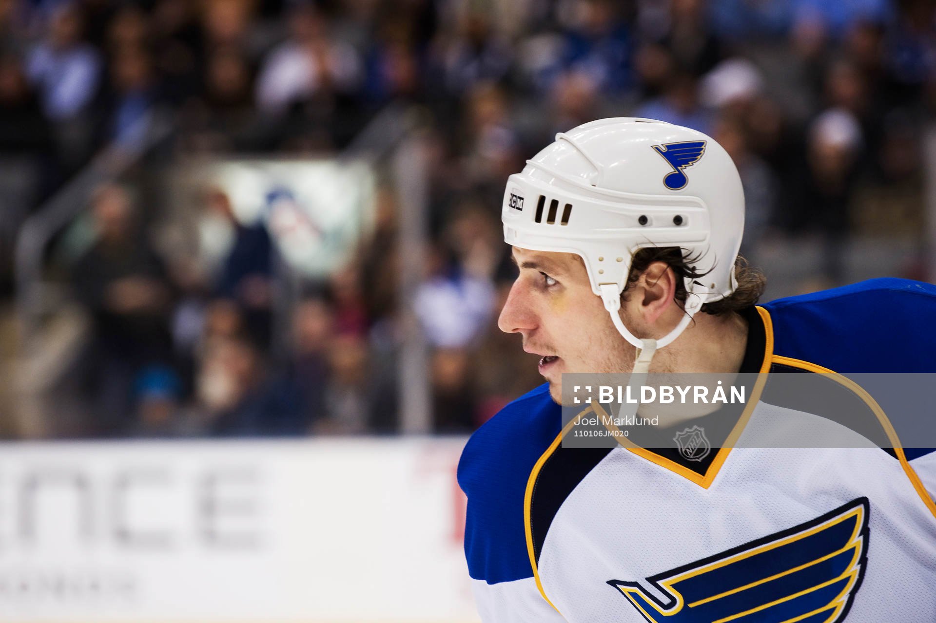 Alexander Steen, St Louis