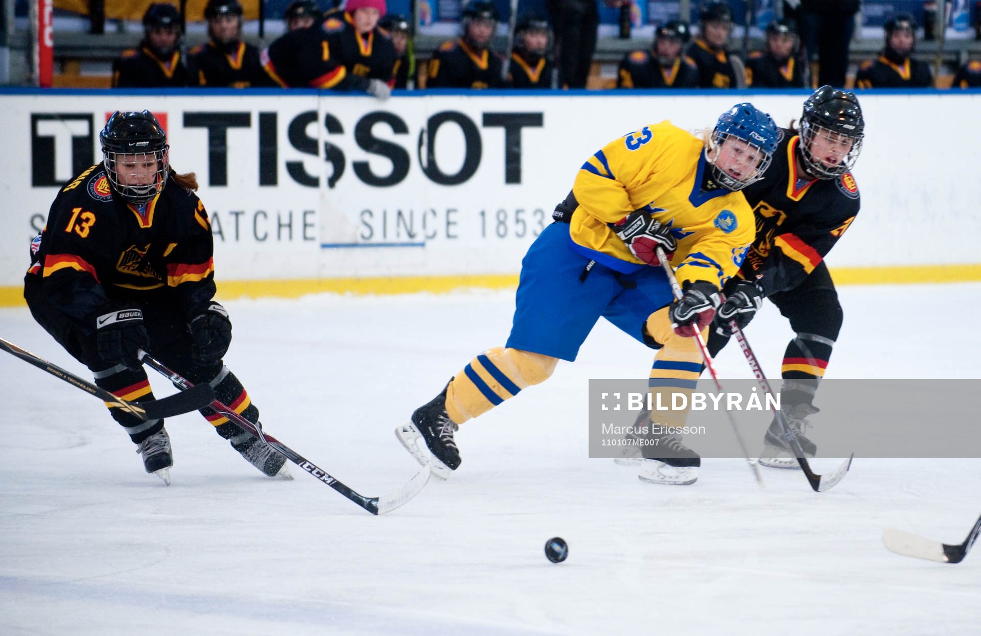 Olivia Nyström, Sverige