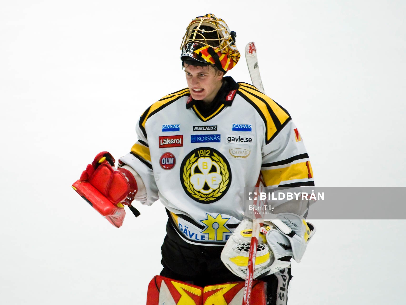 Niklas Svedberg, målvakt, Brynäs