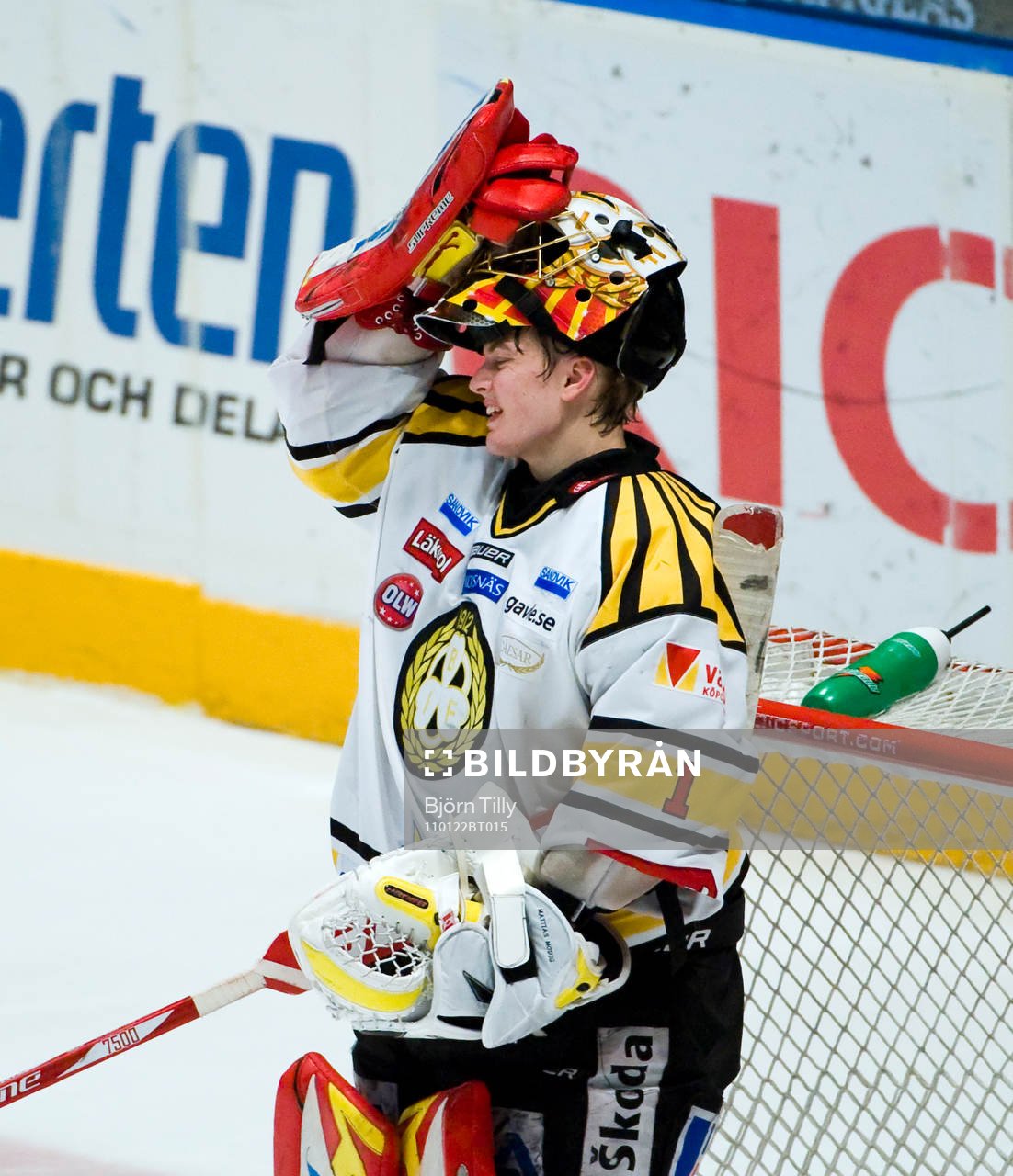 Niklas Svedberg, målvakt, Brynäs