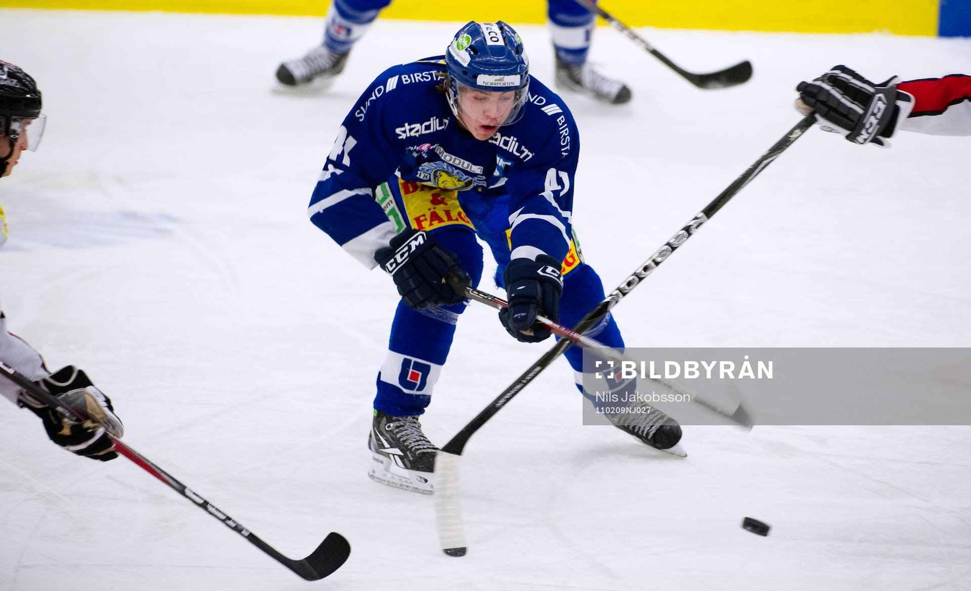 Pär Lindholm, Sundsvall