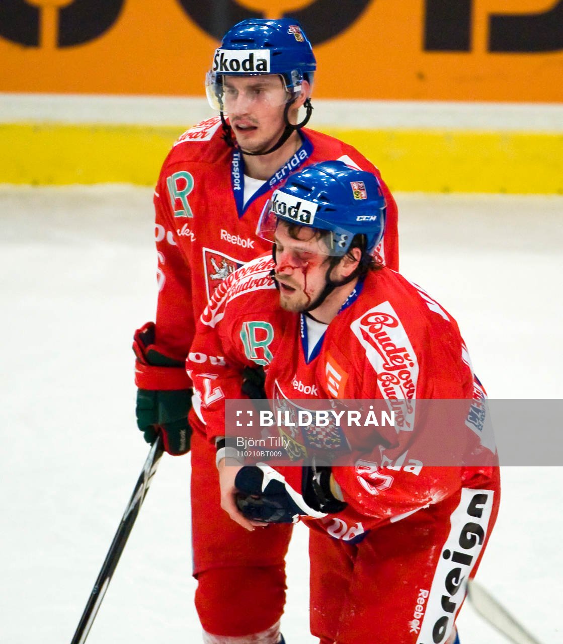 Petr Koukal, Tjeckien. (Blod, Skada)