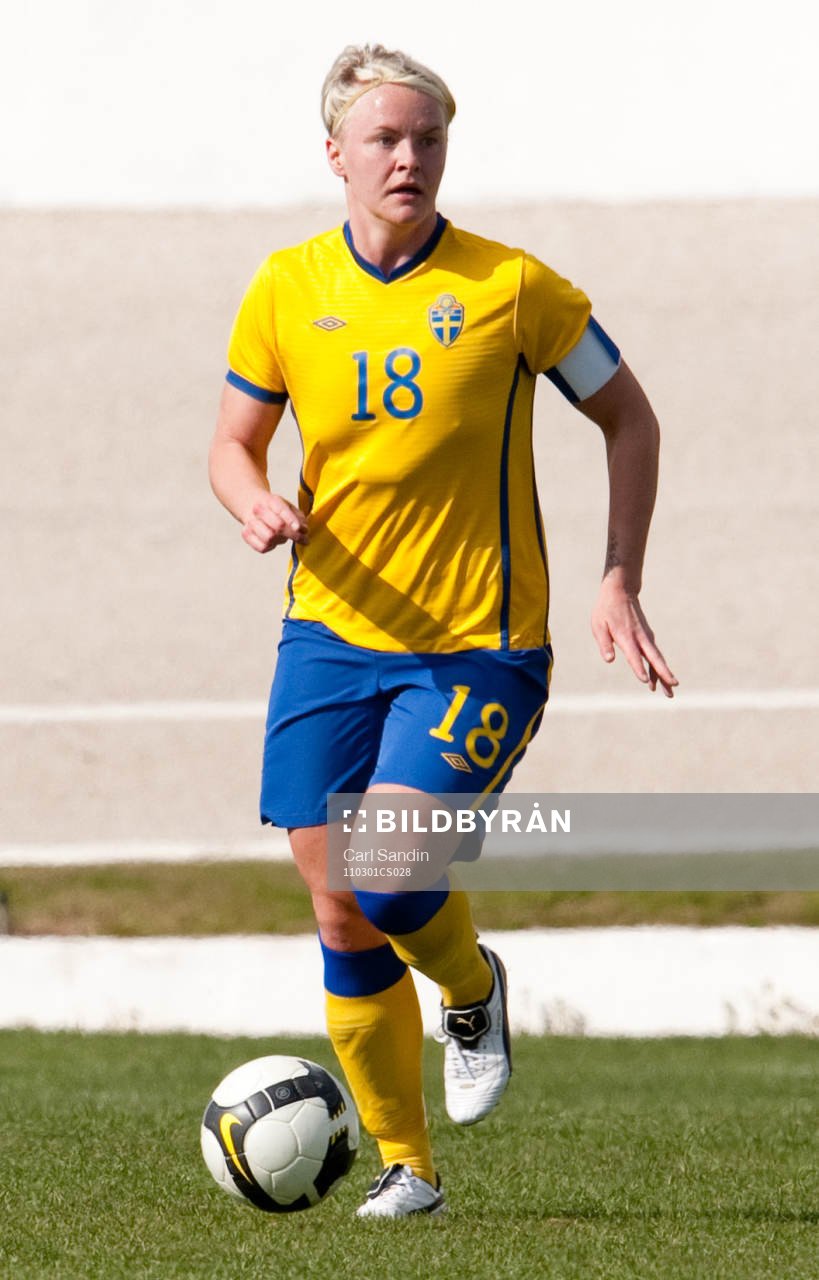 Nilla Fischer, Sverige