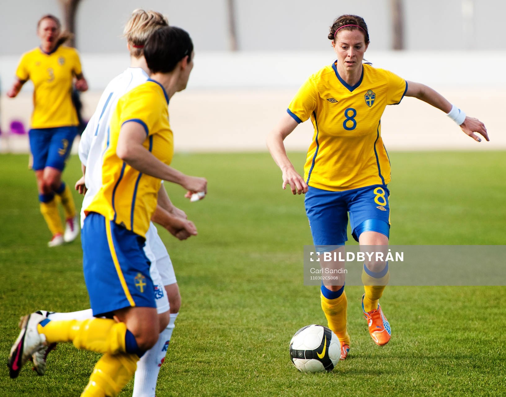 Lotta Schelin, Sverige
