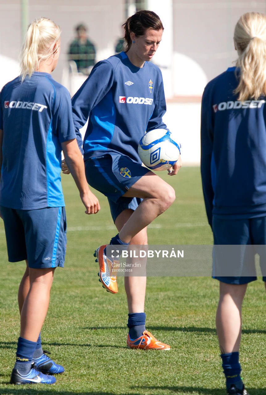 Lotta Schelin, Sverige