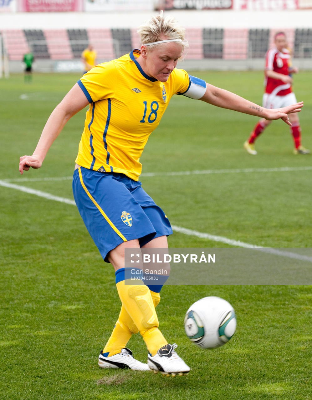 Nilla Fischer, Sverige