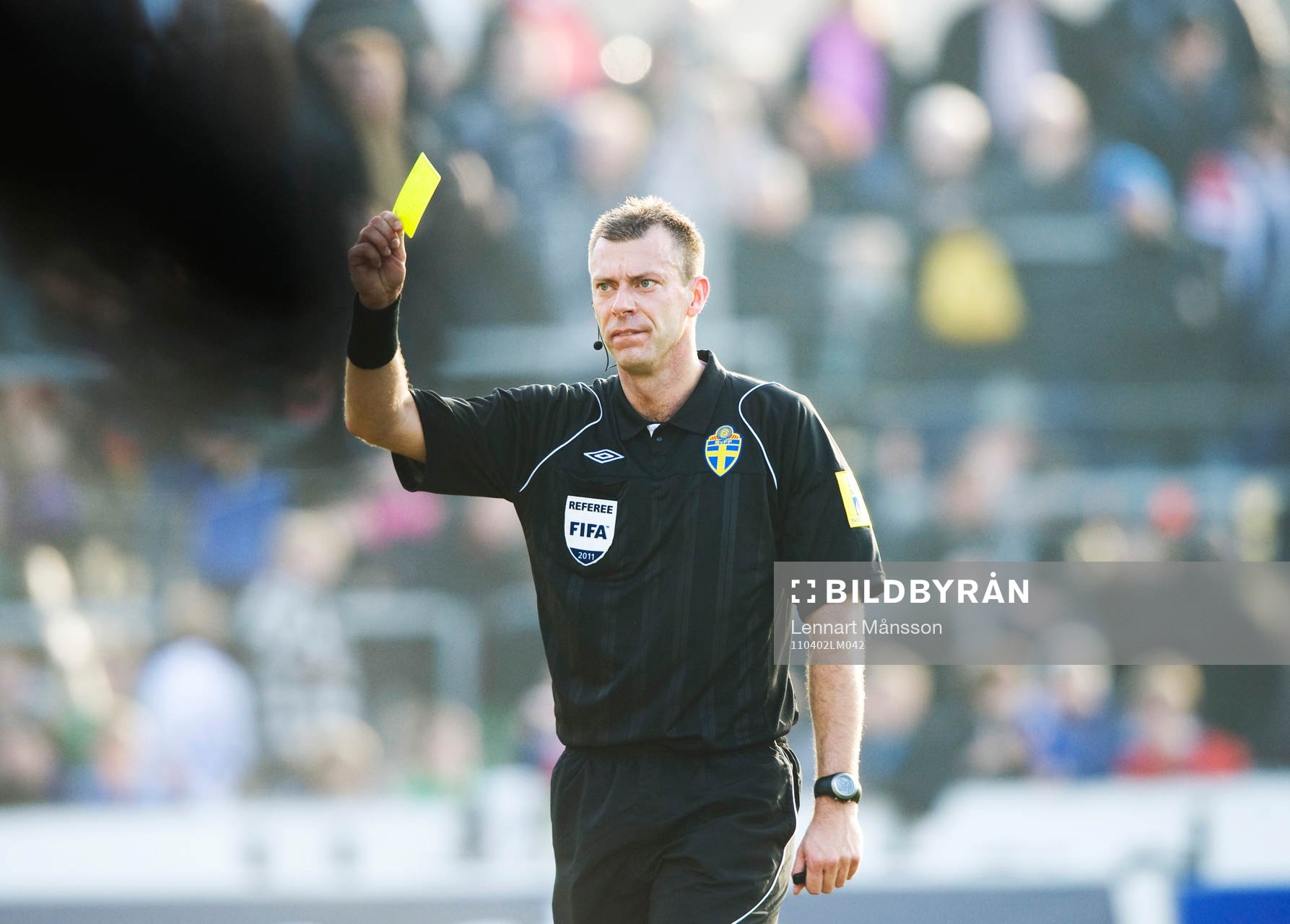Daniel Stålhammar, domare