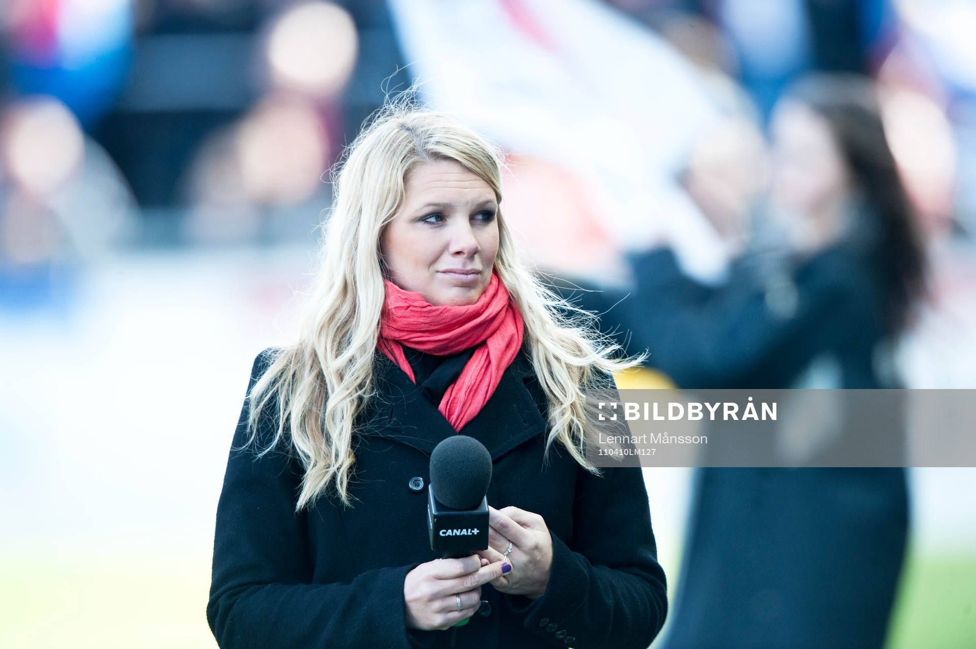 Anna Brolin, Reporter