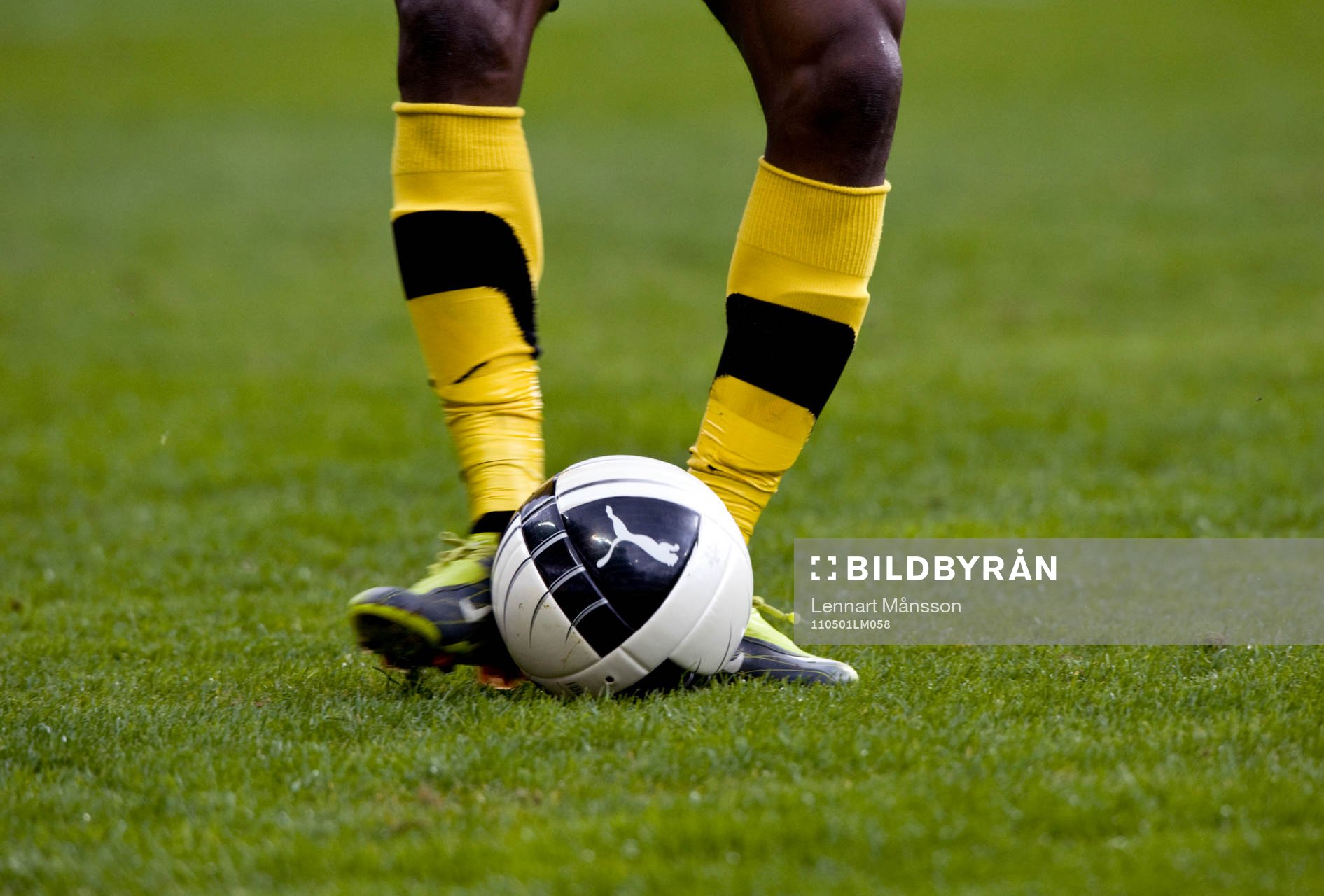 Boll, ben, genre