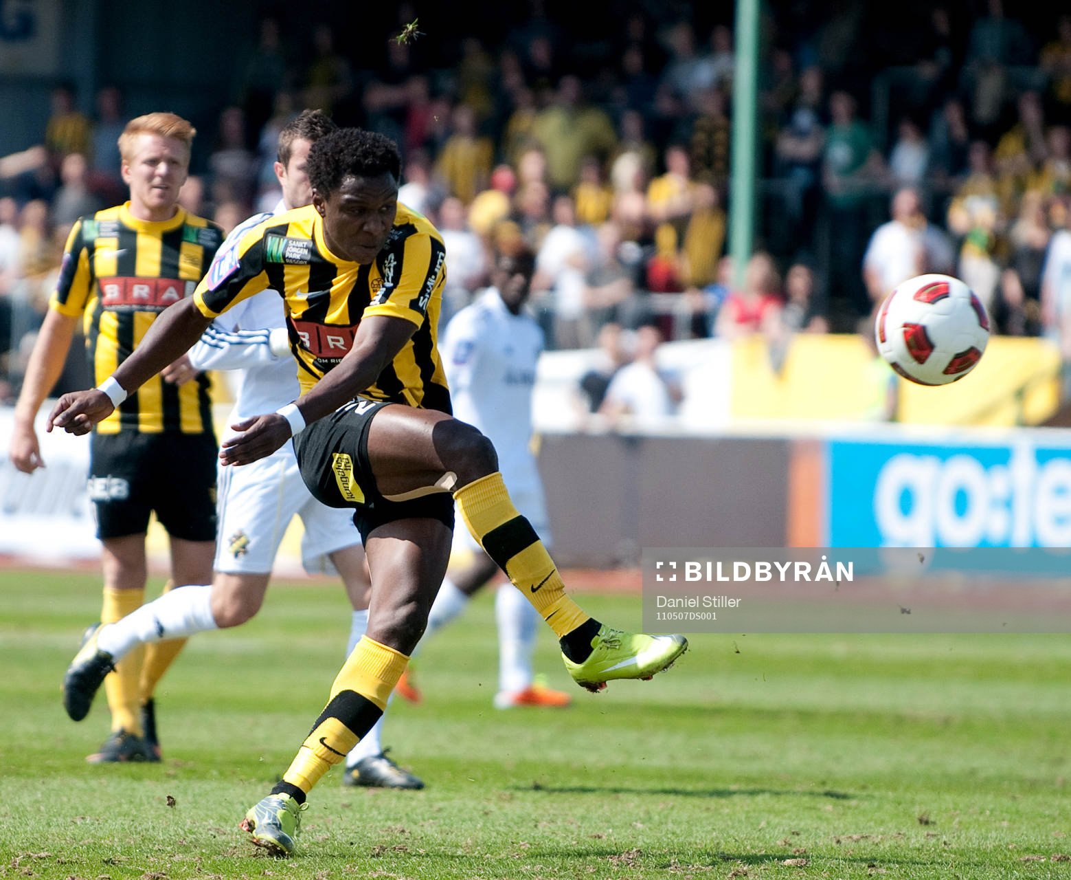 Dominic Chatto, Häcken