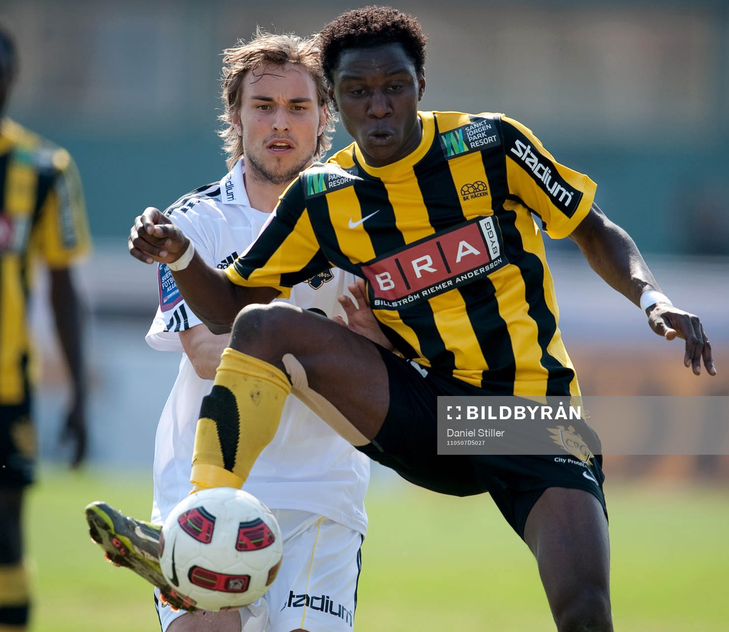 Dominic Chatto, Häcken