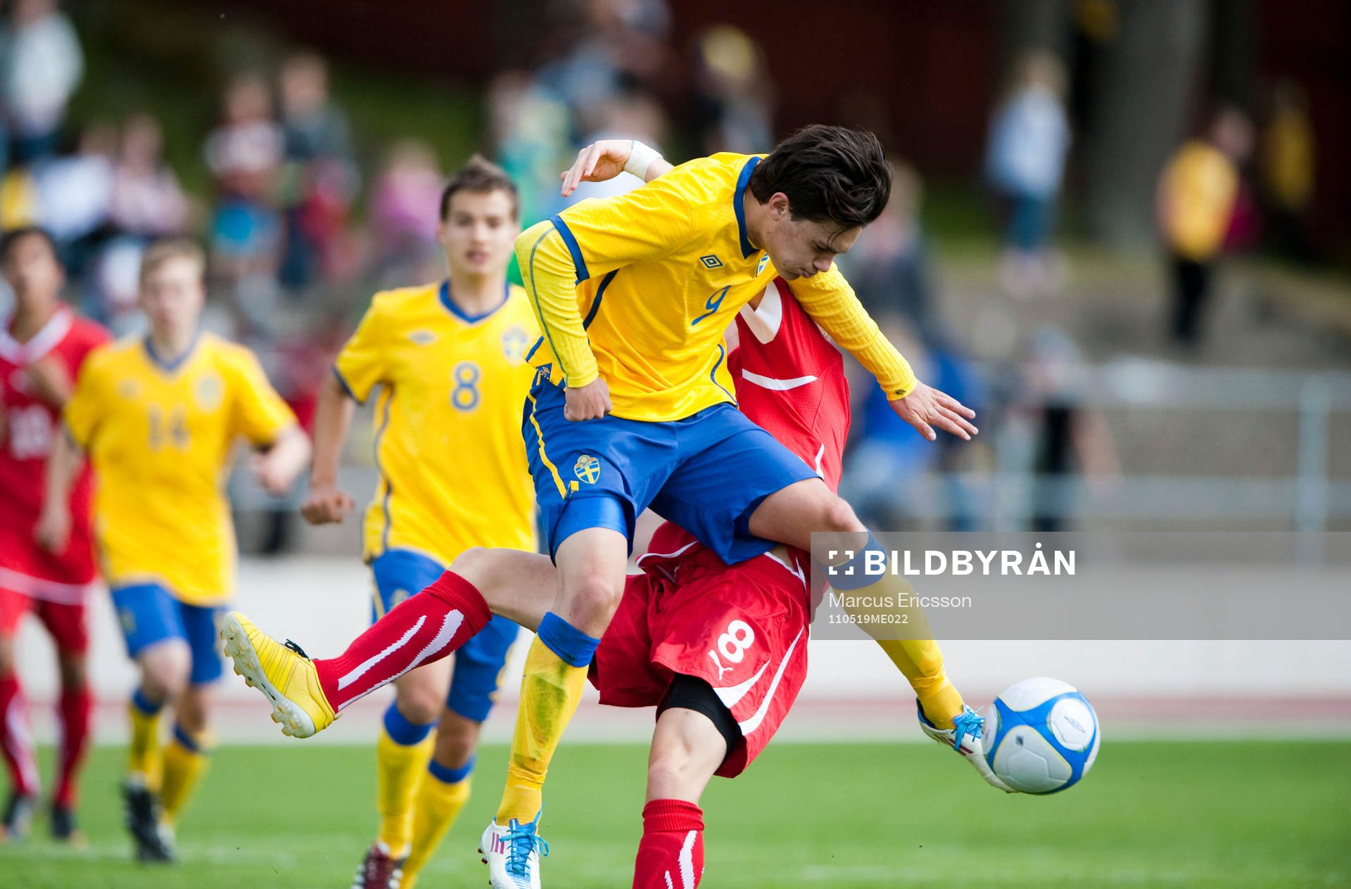 David Moberg Karlsson, Sverige
