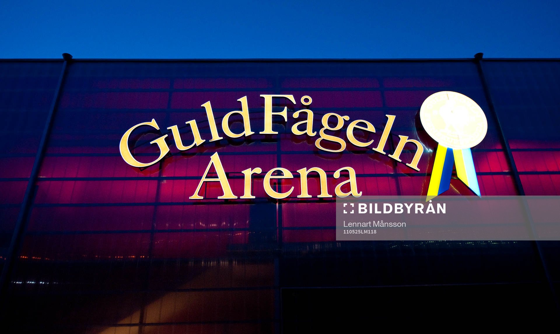 Guldfågeln arena