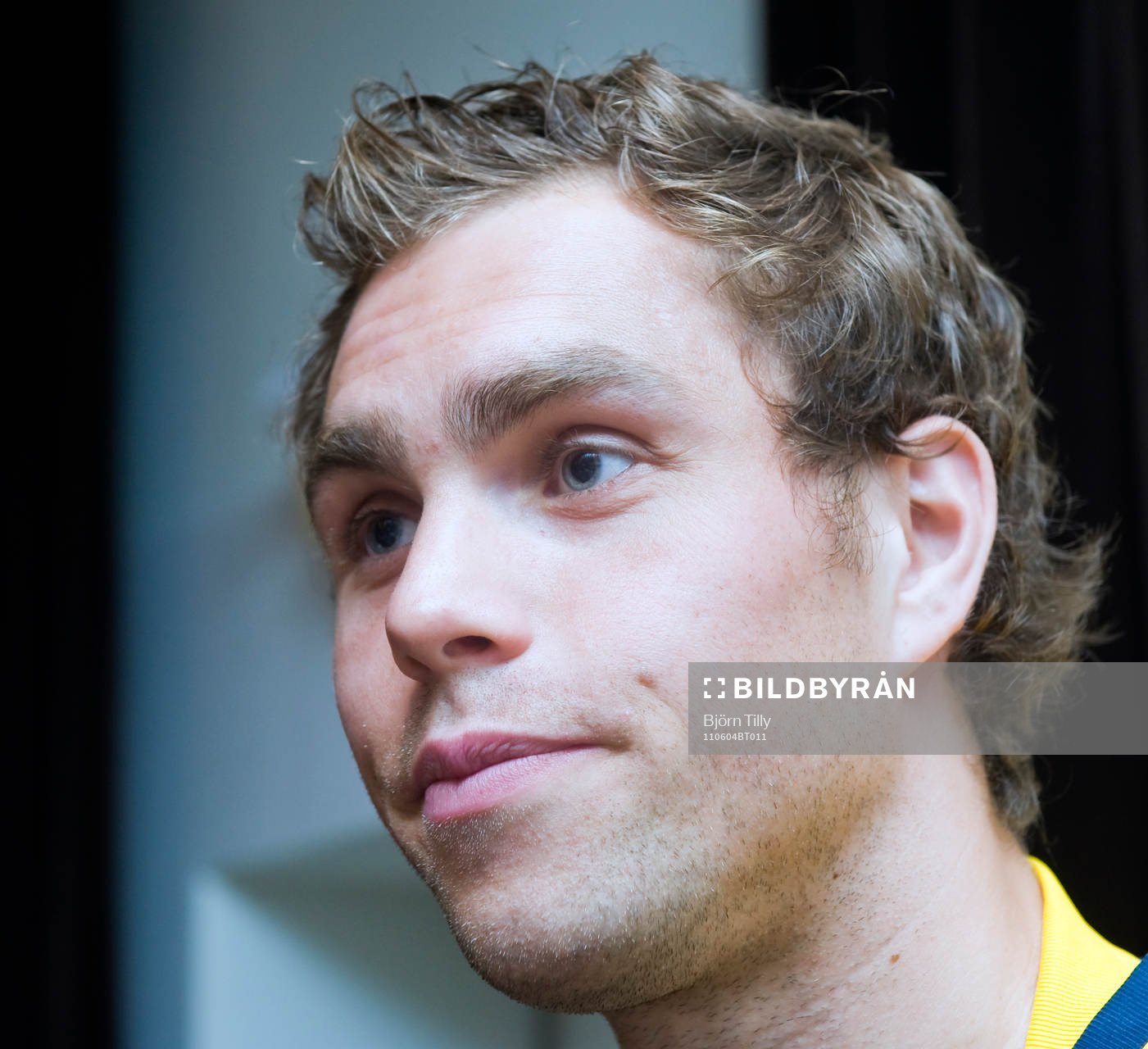 Johan Elmander, Sverige