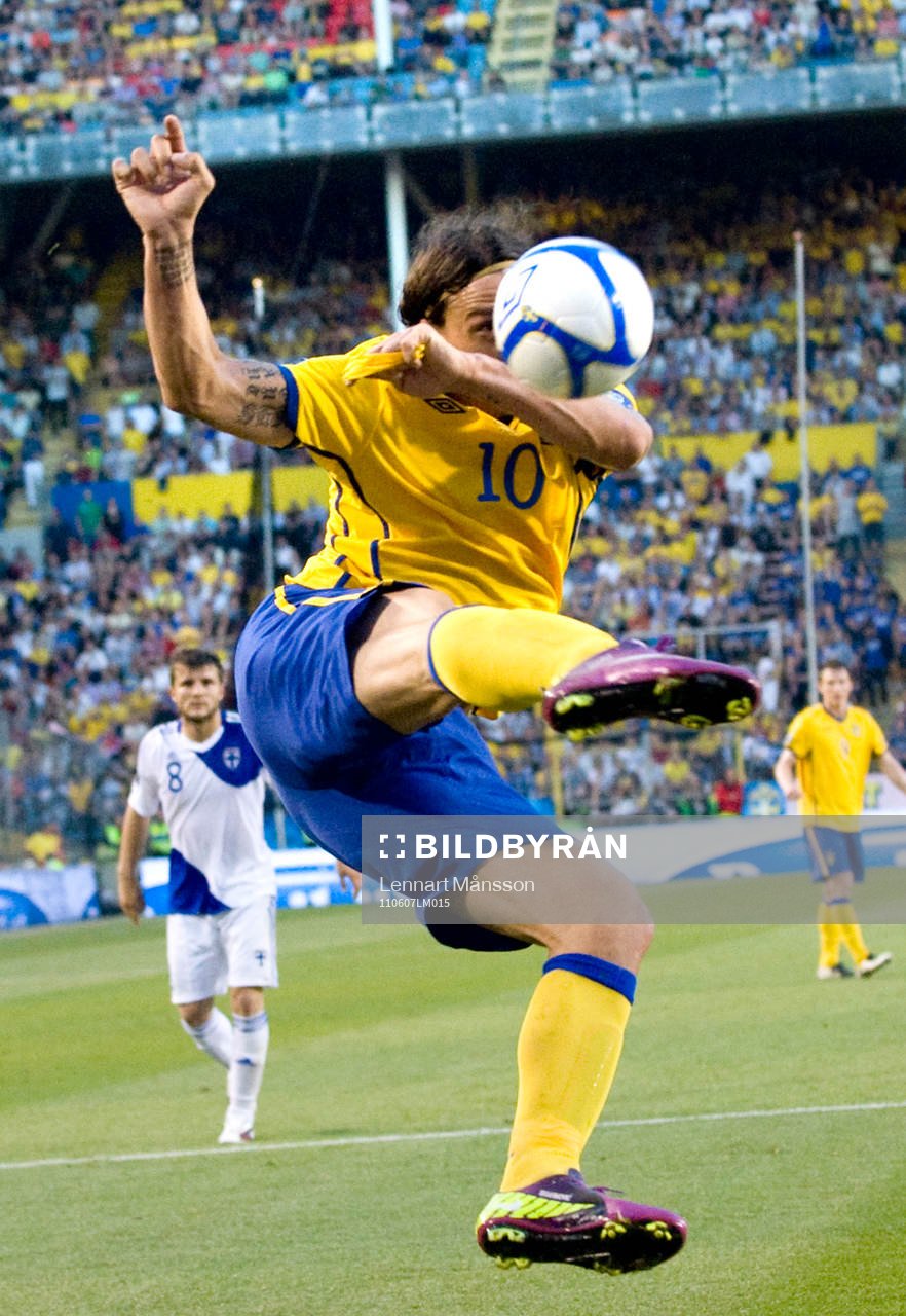 Zlatan Ibrahimovic, Sverige, konstspark